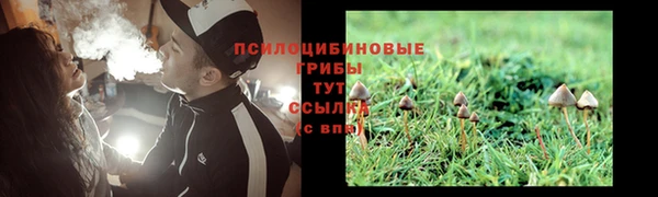 экстази Покачи