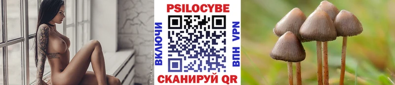 Псилоцибиновые грибы ЛСД  Купить  Талица 